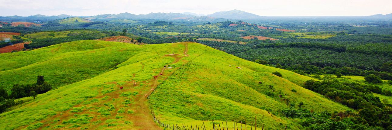 Wisata Bukit Rimpi Tanah Laut: Pesona Selandia Baru Khas Kalimantan Selatan