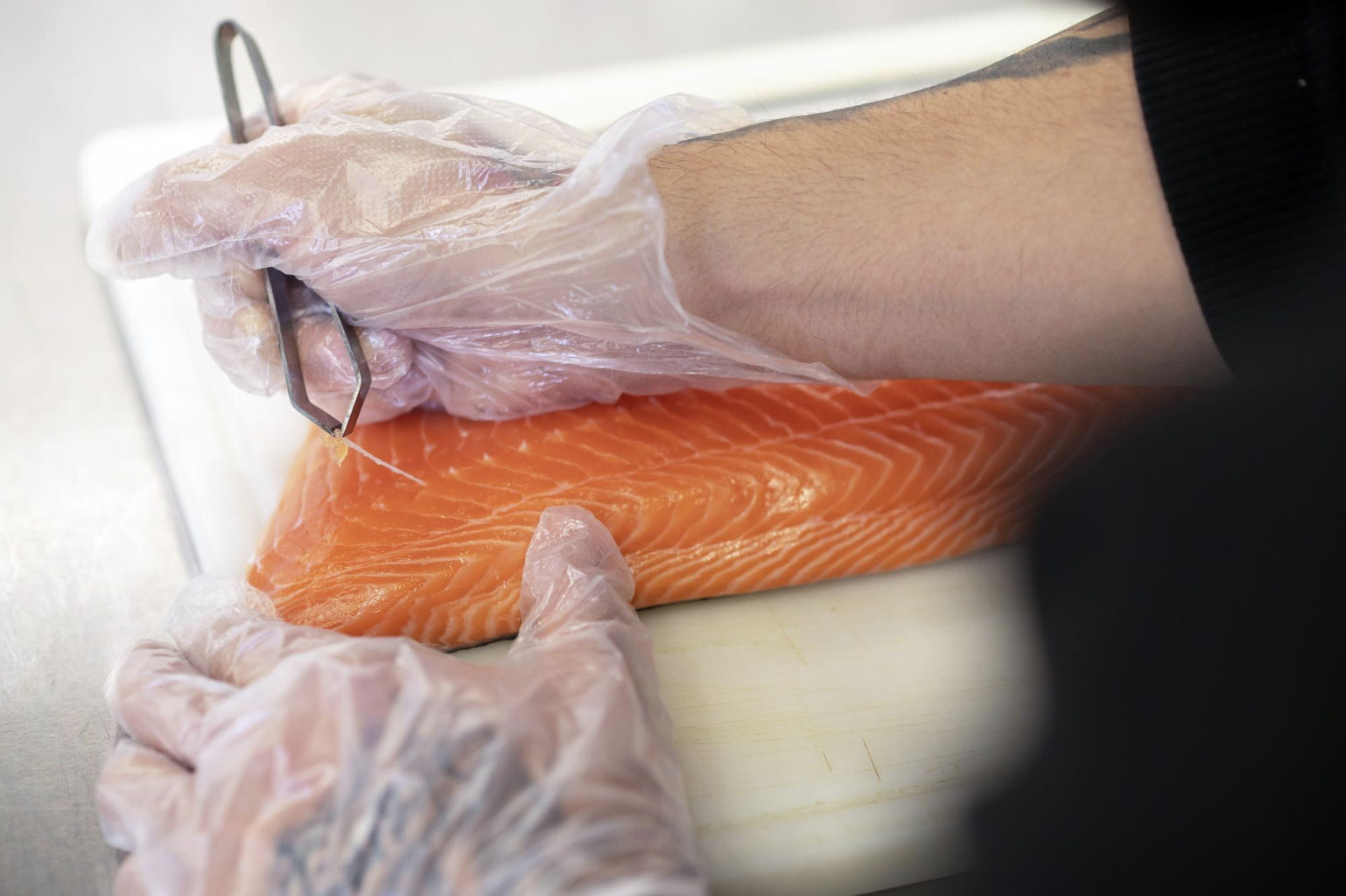 Ancaman Parasit 12 Meter di Balik Kenikmatan Menyantap Salmon Mentah
