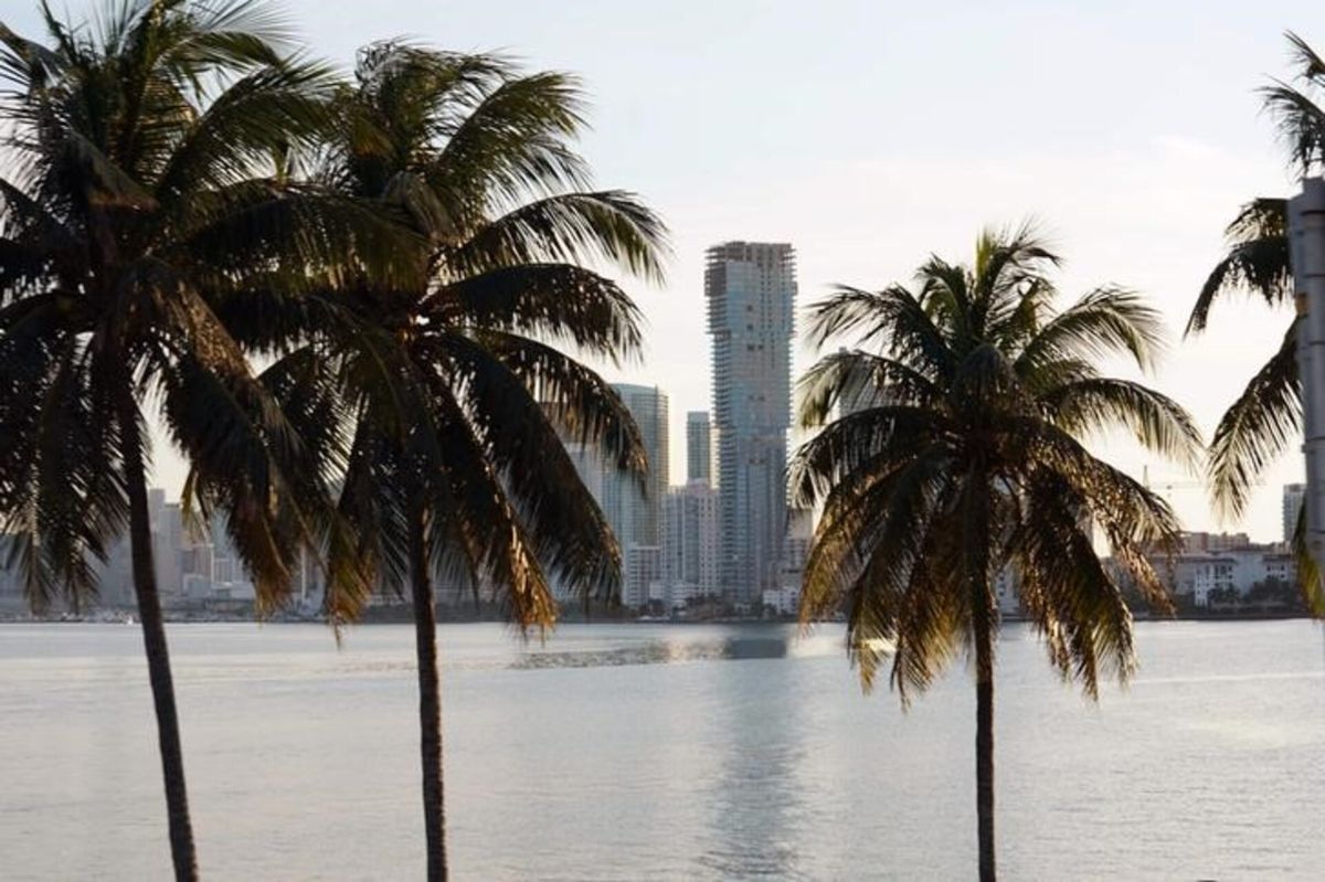 5 Tempat Wisata di Miami Dekat Hard Rock Stadium yang Bisa Dikunjungi Selama Piala Dunia 2026