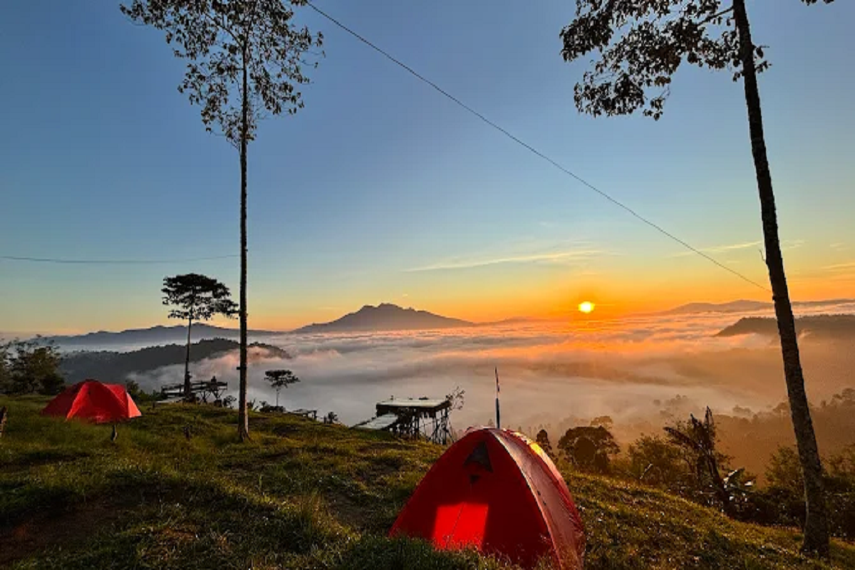 Rekomendasi Tempat Healing Sejuk Bernuansa Alam Terbaik di Lampung Barat