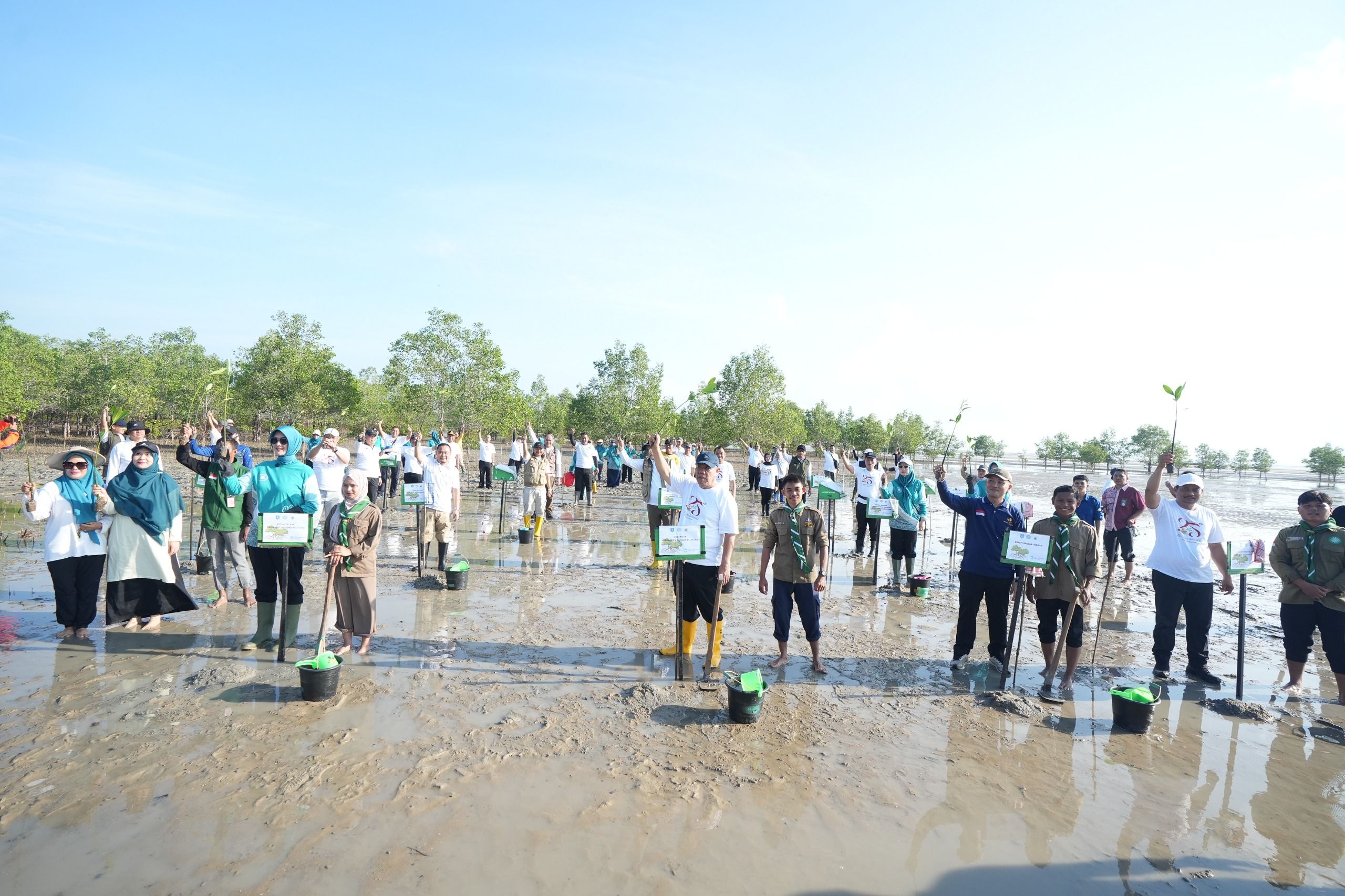 Peringati HKG PKK ke-54 dan Hari Lingkungan Hidup Sedunia, Pemprov Babel Gelar Aksi Tanam Mangrove