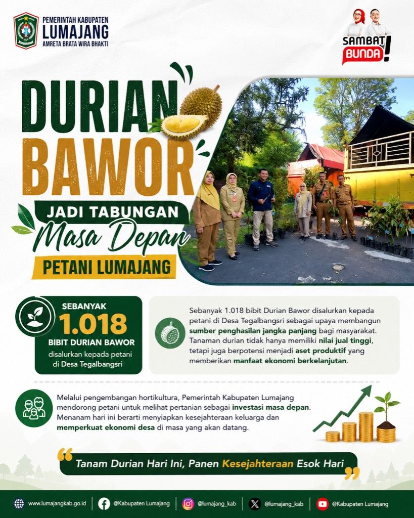 Durian Bawor Jadi Tabungan Masa Depan Petani Lumajang