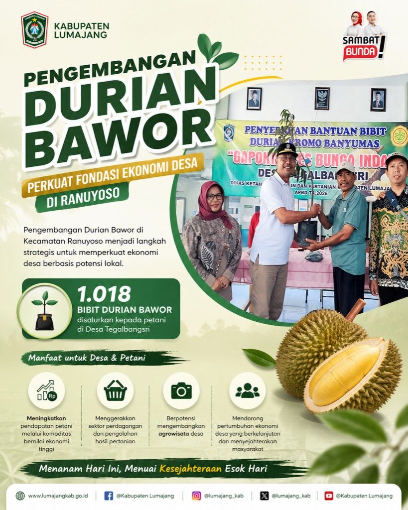 Pengembangan Durian Bawor Perkuat Fondasi Ekonomi Desa di Ranuyoso