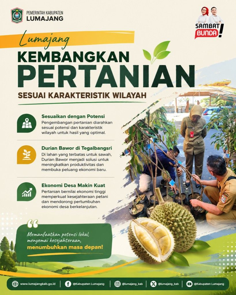 Lumajang Kembangkan Pertanian Sesuai Karakteristik Wilayah