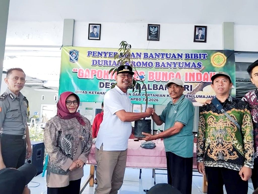 Pengembangan Durian Bawor Perkuat Fondasi Ekonomi Desa di Ranuyoso