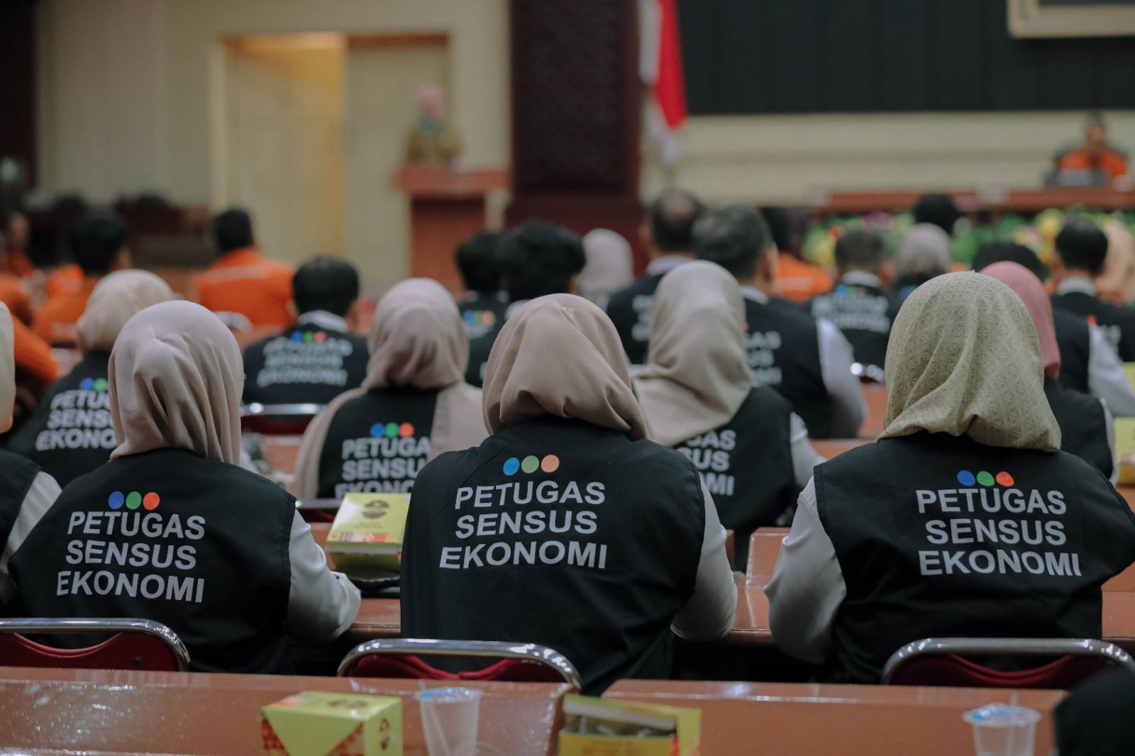 Sensus Ekonomi 2026 Lampung Dimulai 1 Mei–31 Agustus
