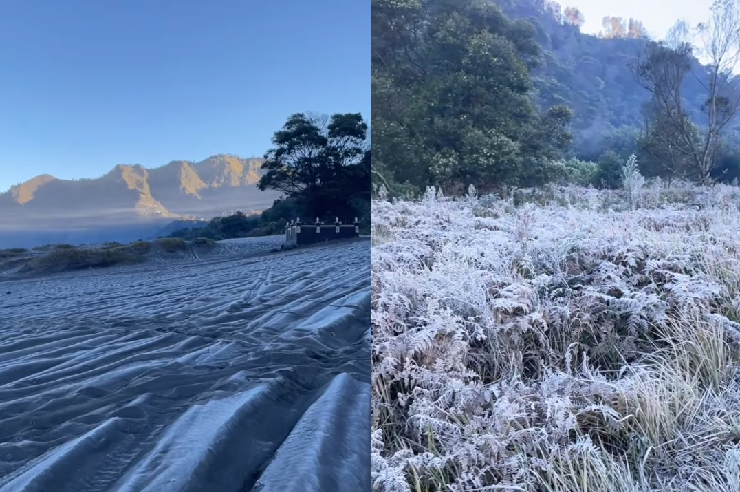 Musim Mbediding Tiba, Kota Malang Bersiap Menyambut Udara Dingin dan Fenomena Bunga Es di Bromo