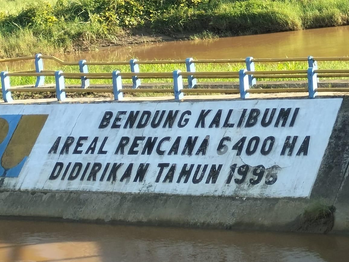 Bendung Kalibumi Nabire: Sejarah, Struktur Bangunan dan Fungsinya