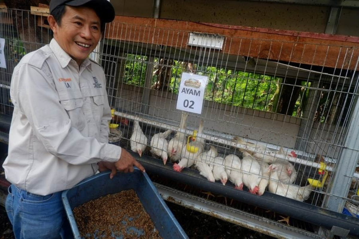 ITB Ubah Sampah Rumah Tangga Jadi Pangan Bergizi Lewat Teknologi Apartemen Ayam