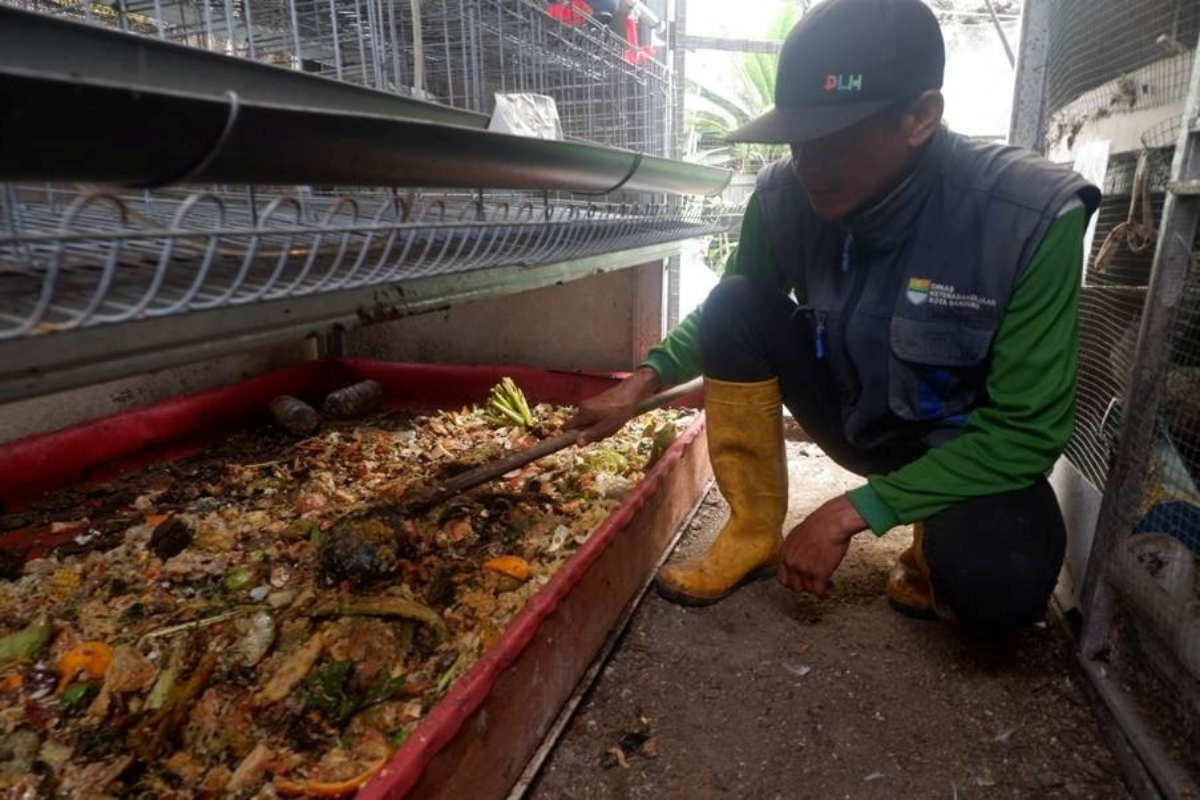 ITB Ubah Sampah Rumah Tangga Jadi Pangan Bergizi Lewat Teknologi Apartemen Ayam
