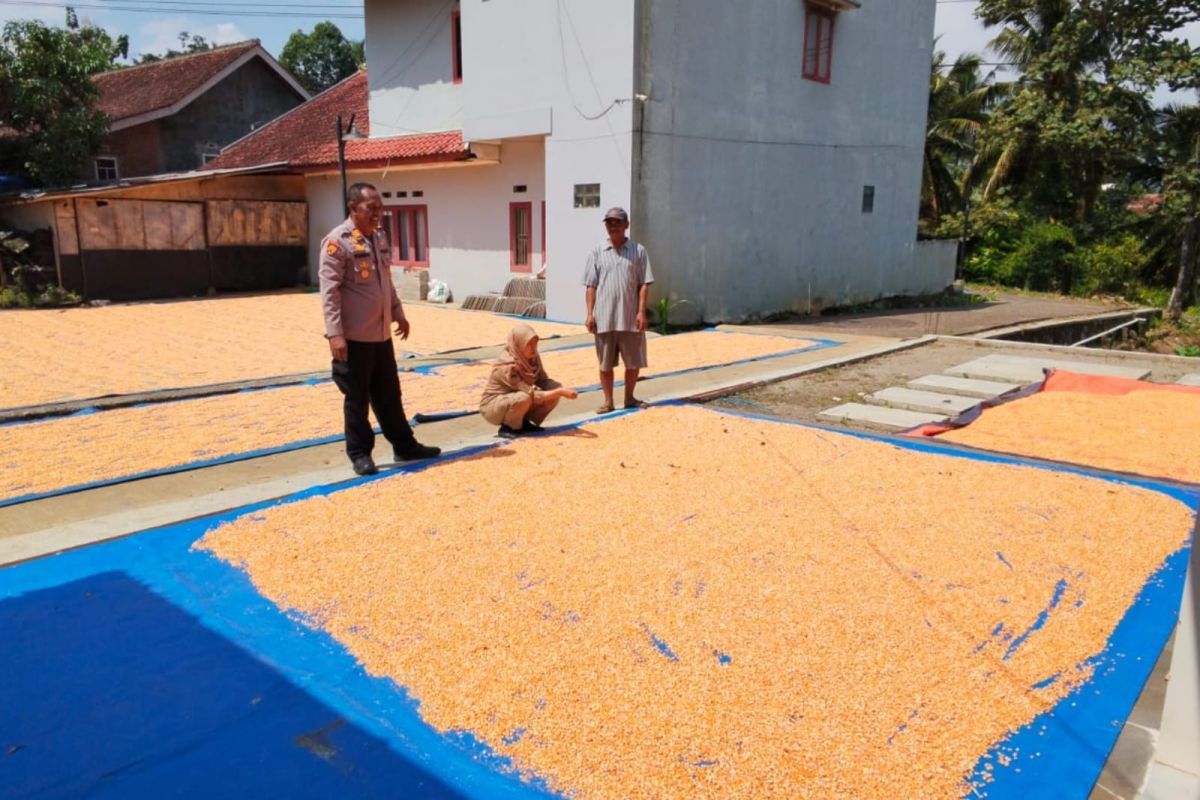 Polres Garut Kawal Penyerapan 326,259 Ton Jagung untuk Dukung Swasembada Pangan