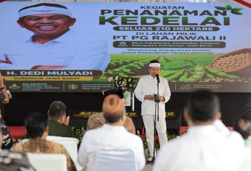 Dukung Swasembada Kedelai 2026, KDM Ajak Petani Jaga Kesuburan Lahan