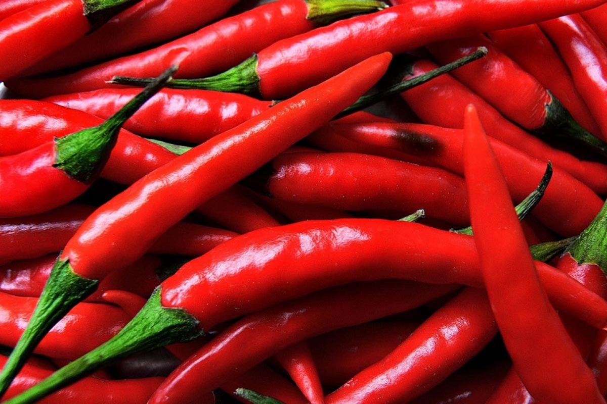 Tangan Terbakar Gara-gara Sambal? Ini Cara Hilangkan Rasa Panas di Tangan Akibat Cabai