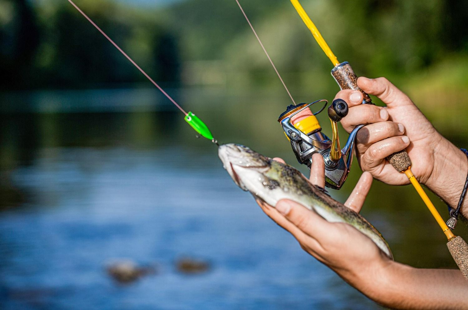 Apakah Memancing Termasuk Olahraga? Ini Penjelasan Lengkapnya