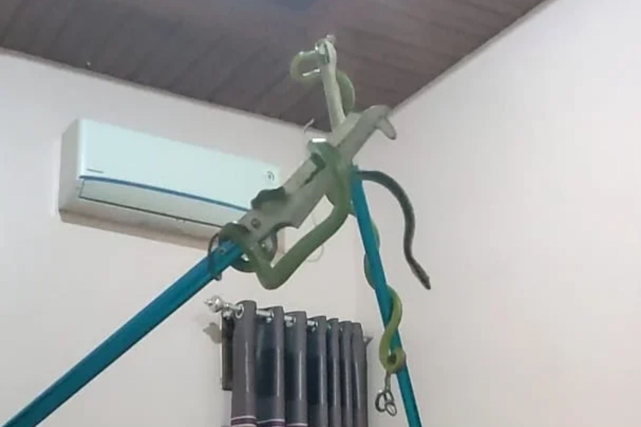 Petugas Damkar di Berau Bongkar AC yang Jadi Markas Enam Ekor Ular