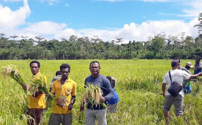 Komoditas Lokal Papua Jadi Harapan Baru Penggerak Ekonomi Kampung