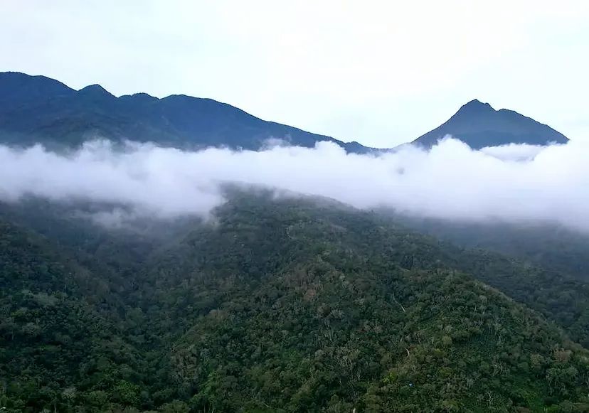 Panduan Mendaki Gunung Geurudong Aceh: Jalur, Estimasi Waktu, dan Tips Aman