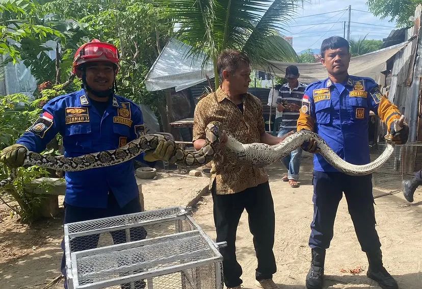 Butuh Bantuan Darurat? Simak Alamat dan Hotline Damkar Banda Aceh Lengkap