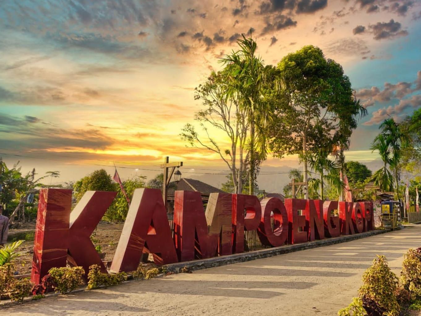 Kampung Kopi Rigis Jaya: Wisata Edukasi Kopi di Lampung Barat