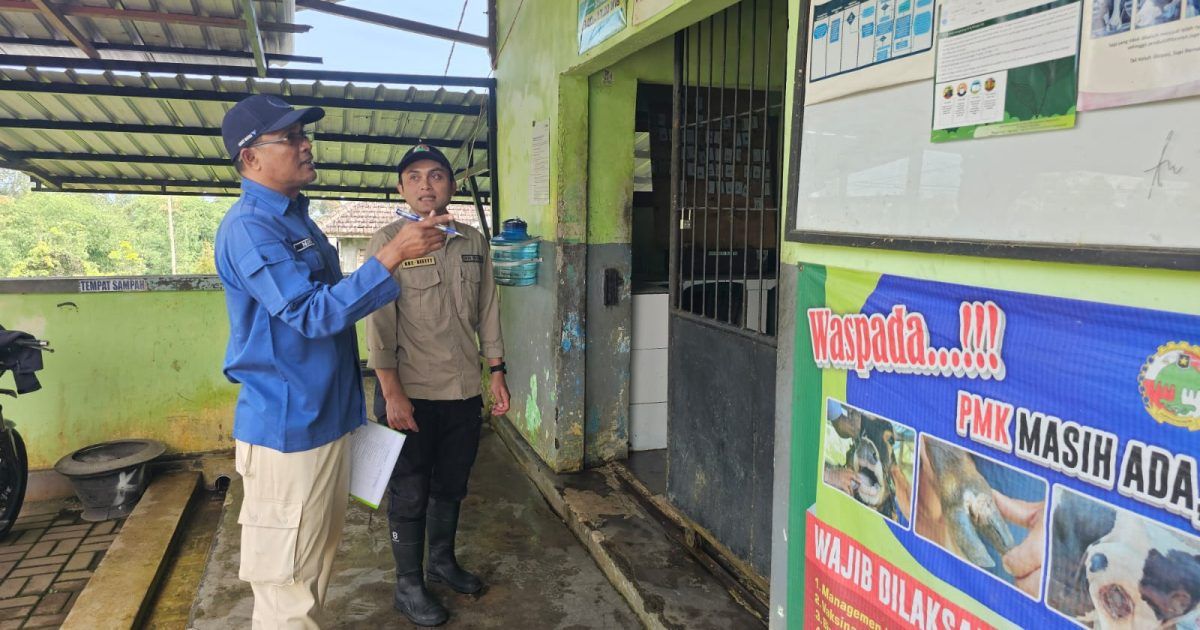 Diperta Kabupaten Probolinggo Lakukan Pra Audit NKV di Tujuh Tempat Penampungan Susu KUD Argopuro Krucil