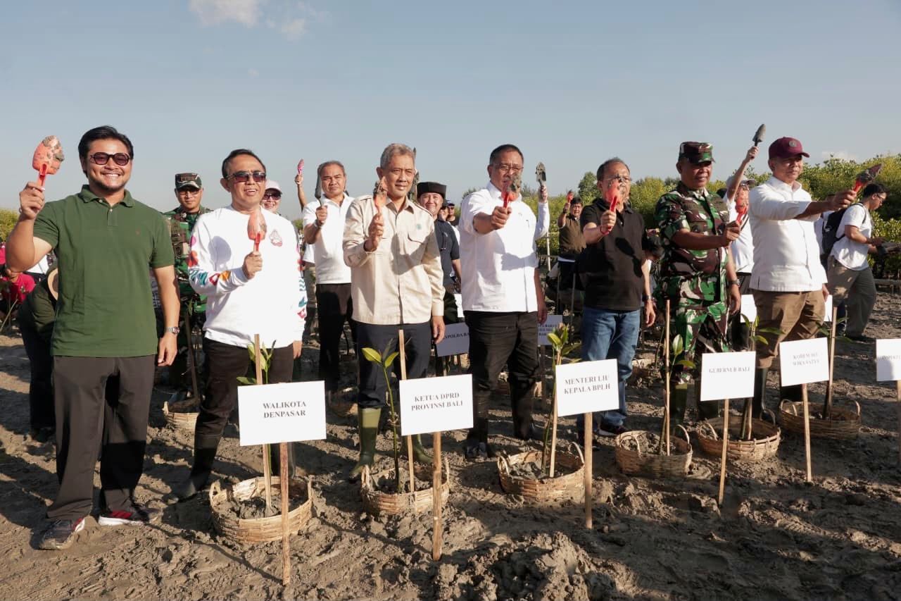 Aksi Hijau di Denpasar, 3.000 Mangrove Ditanam untuk Selamatkan Ekosistem Pesisir