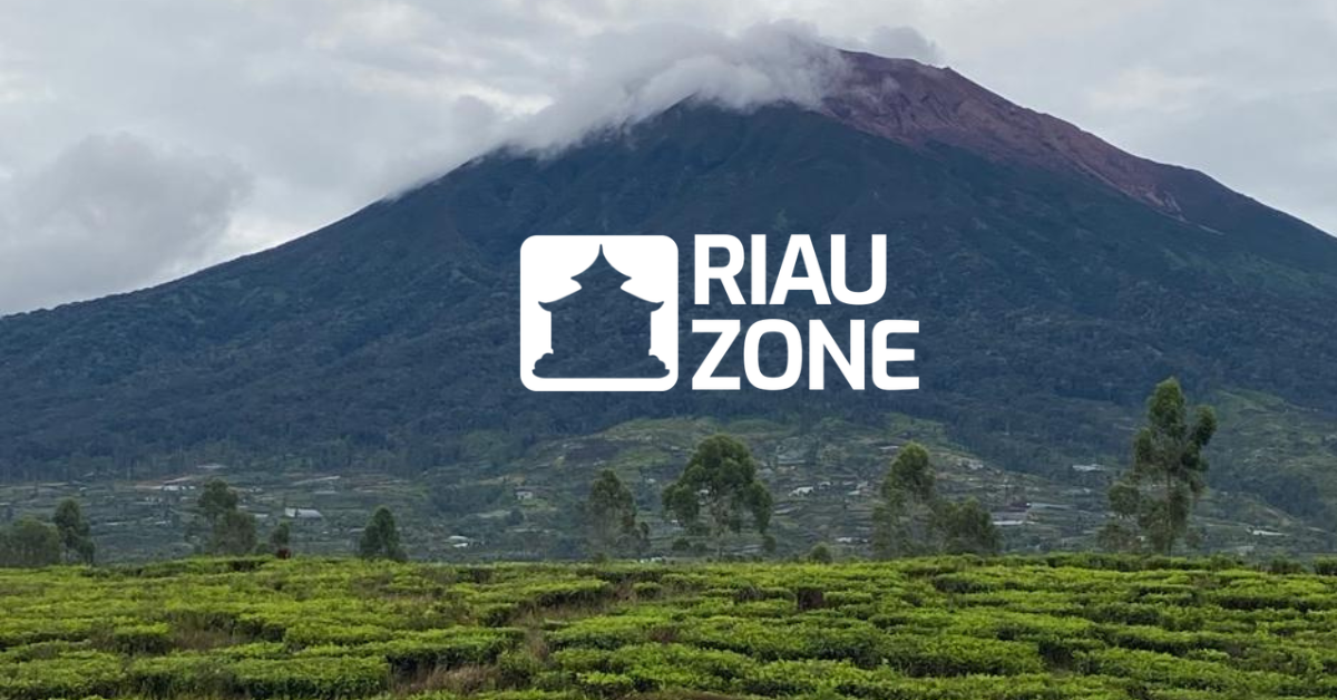 Panduan Liburan Keluarga ke Kebun Teh dan Kopi Estetik di Riau