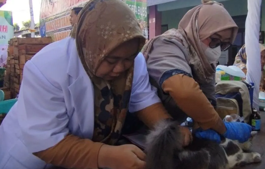 Pemkab Demak Gelar Vaksinasi Rabies Gratis untuk Hewan Peliharaan