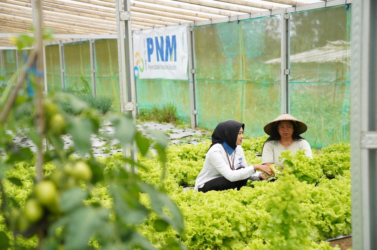 Indonesia Sustainability Award Apresiasi Komitmen ESG dan Pemberdayaan Berkelanjutan PNM