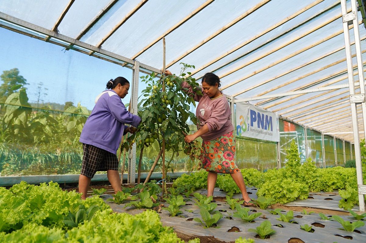 Indonesia Sustainability Award Apresiasi Komitmen ESG dan Pemberdayaan Berkelanjutan PNM