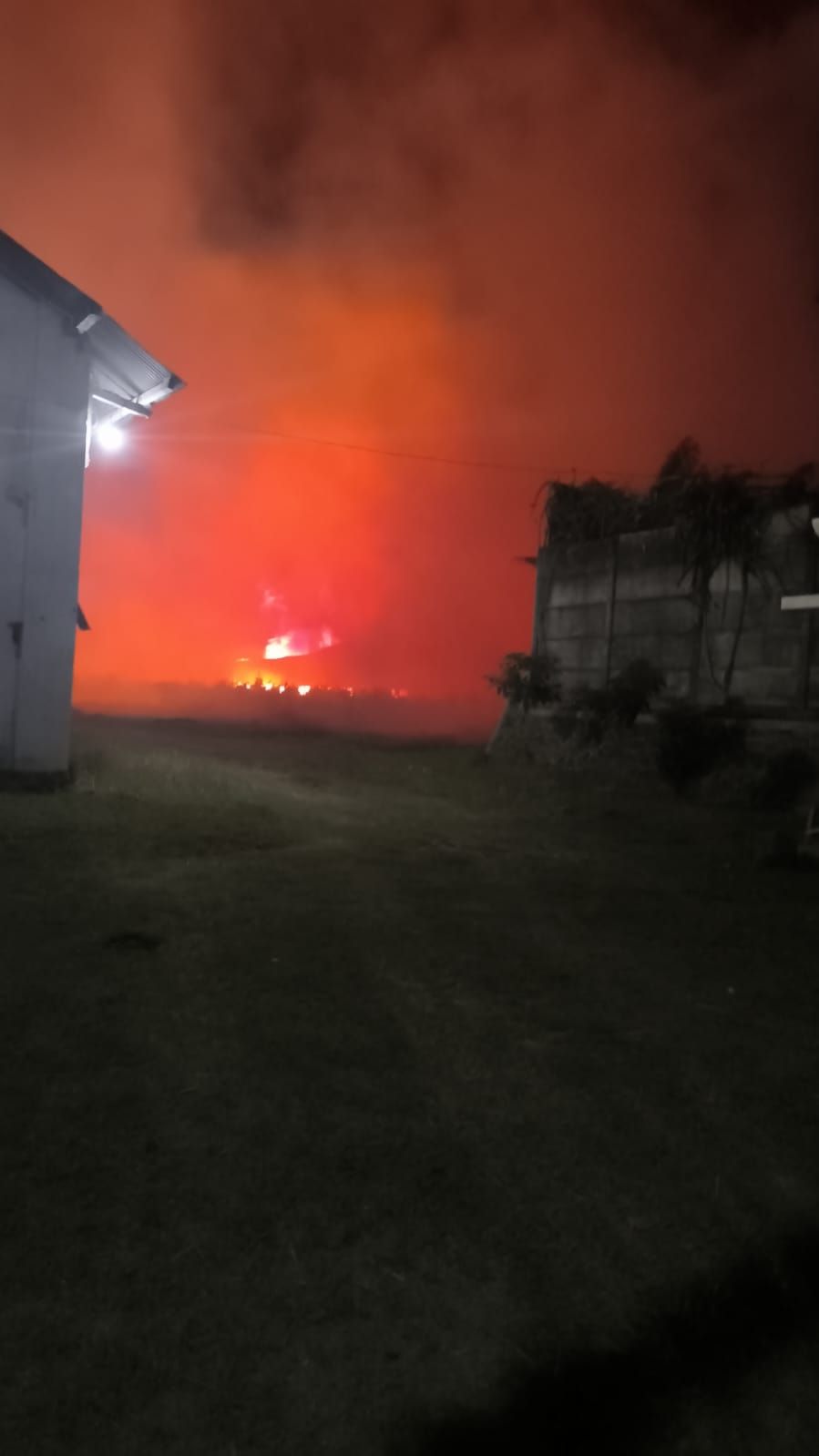 Gudang Tembakau Milik Sampoerna Kebakaran di Bondowoso, Diduga Korsleting Listrik