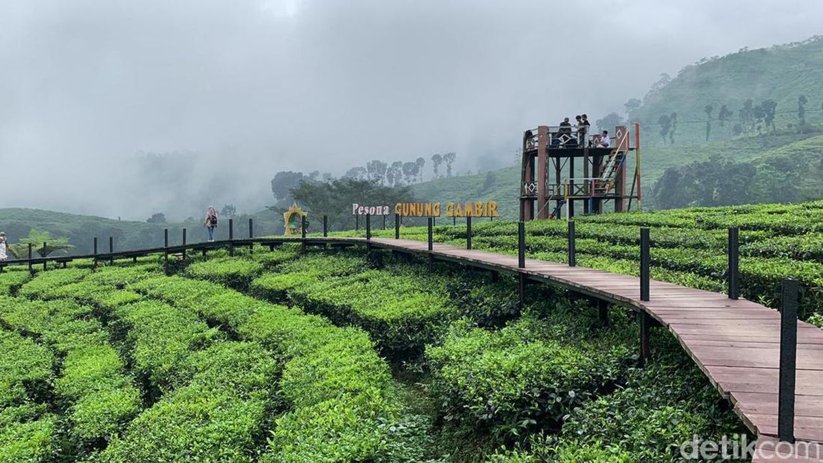 10 WISATA BUKIT GRATIS di JEMBER Lengkap dengan Tiket Masuk Terbaru 2026