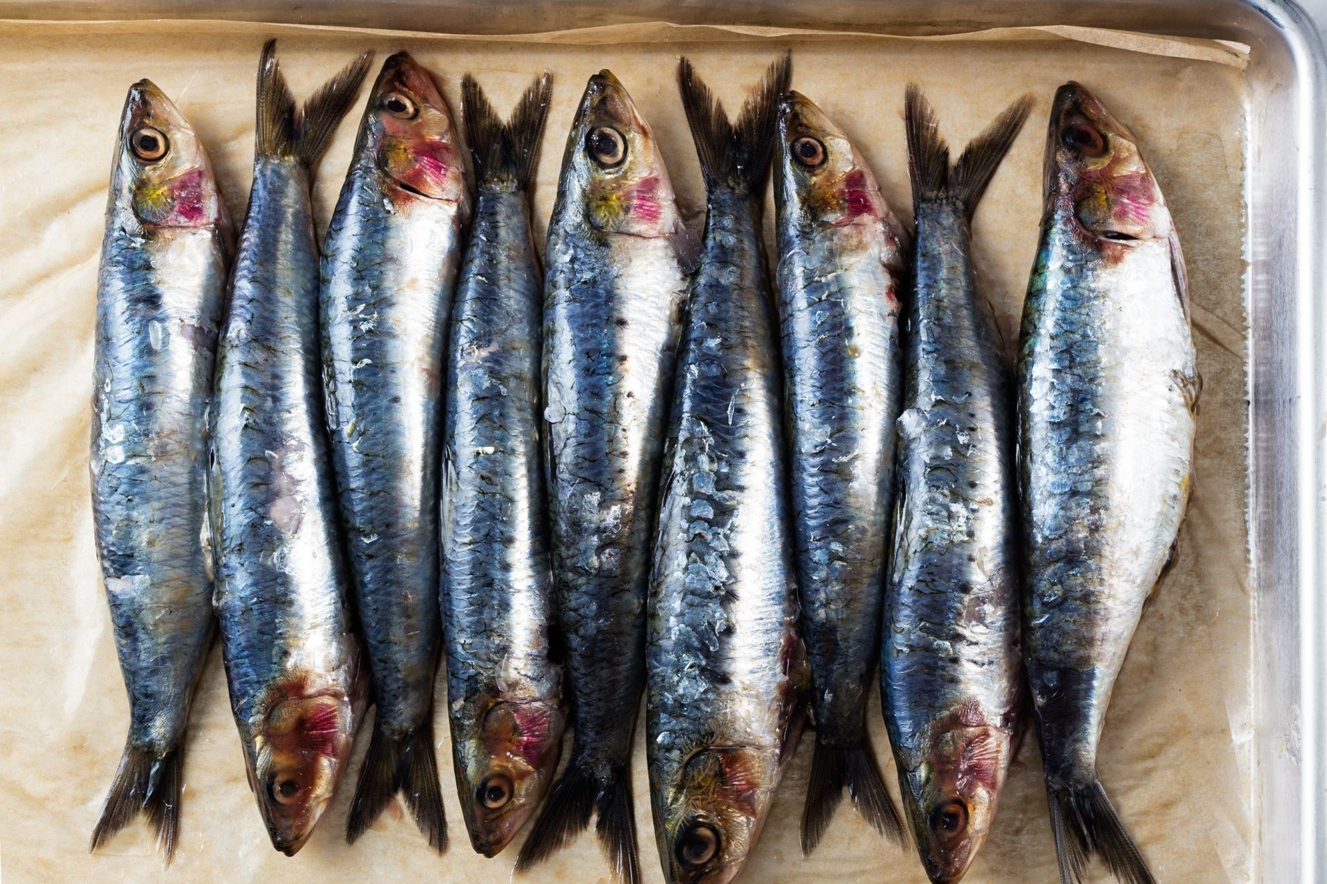 7 Manfaat Ikan Sarden untuk Kesehatan yang Sering Diabaikan