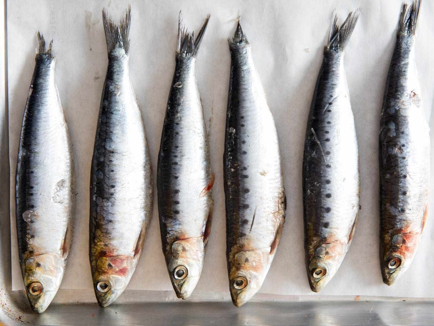 7 Manfaat Ikan Sarden untuk Kesehatan yang Sering Diabaikan