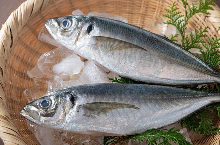 7 Manfaat Ikan Kembung yang Baik untuk Kesehatan Tubuh