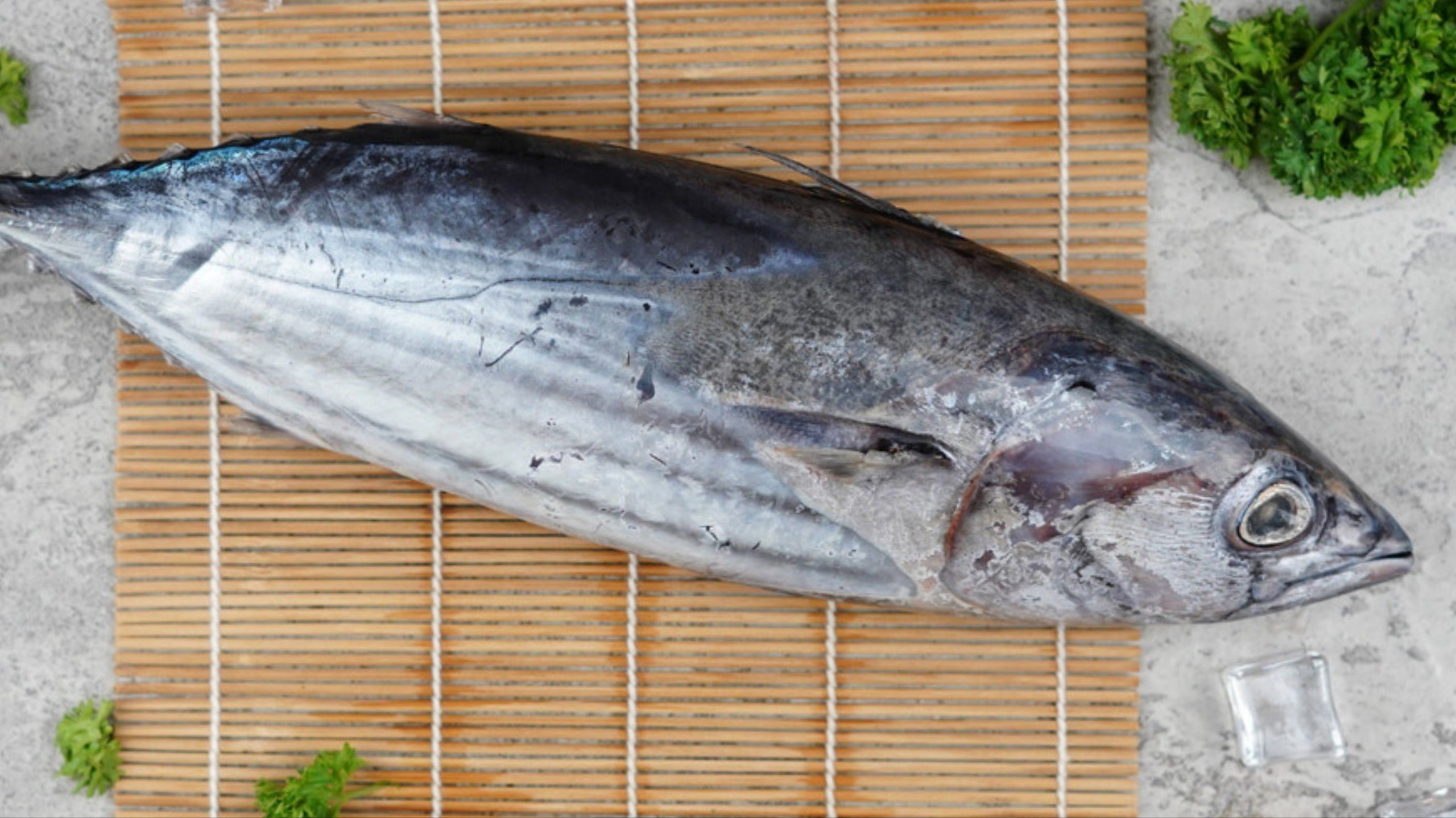 7 Manfaat Ikan Cakalang untuk Kesehatan Tubuh yang Kaya Gizi