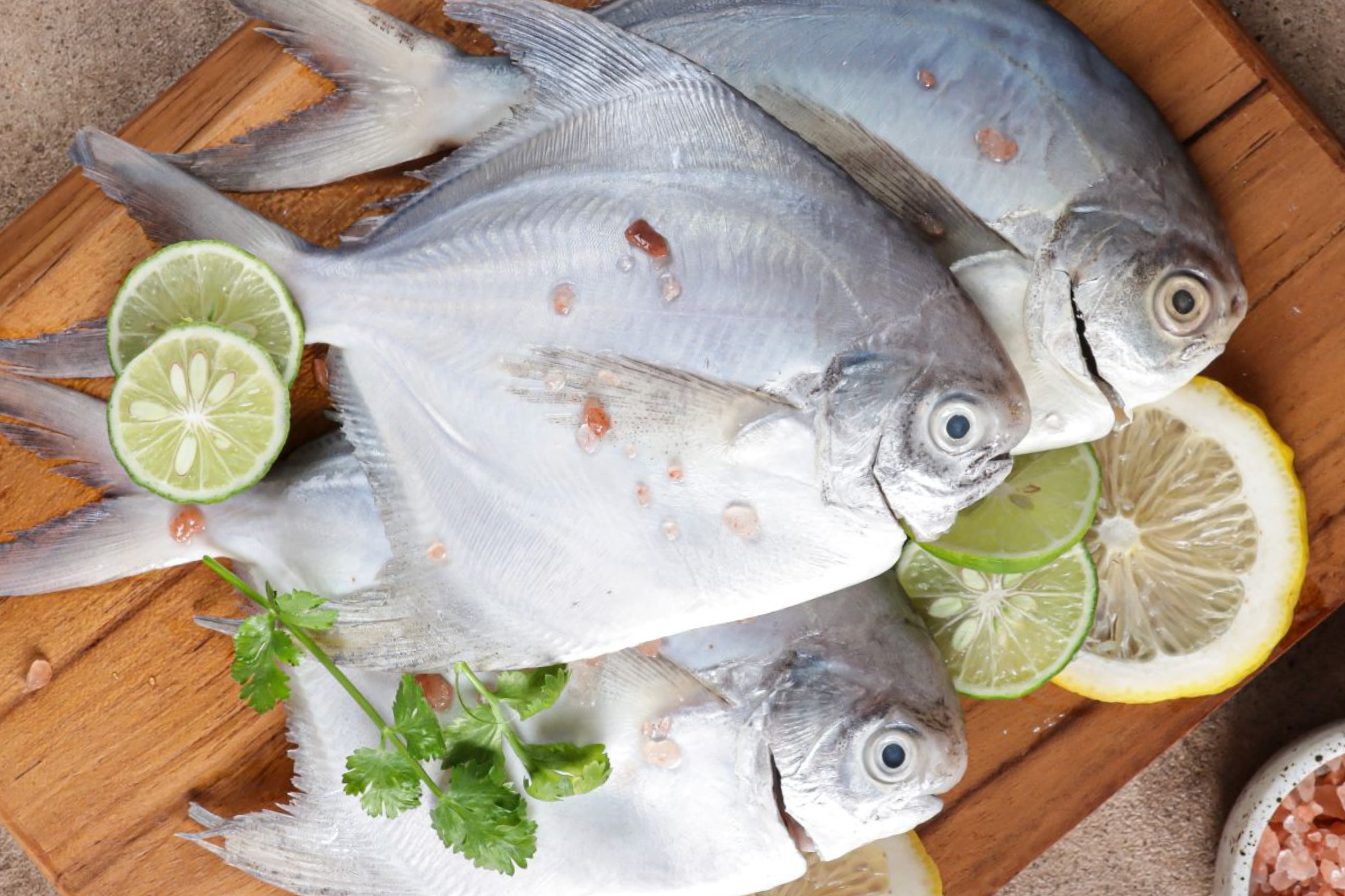 7 Manfaat Ikan Bawal untuk Kesehatan Tubuh, Kaya Gizi