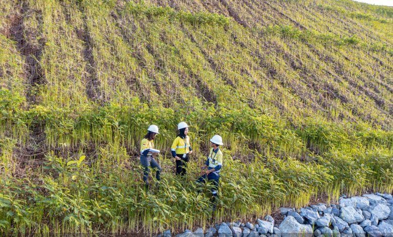 Komitmen AMMAN Menjaga Lingkungan di Tambang Batu Hijau