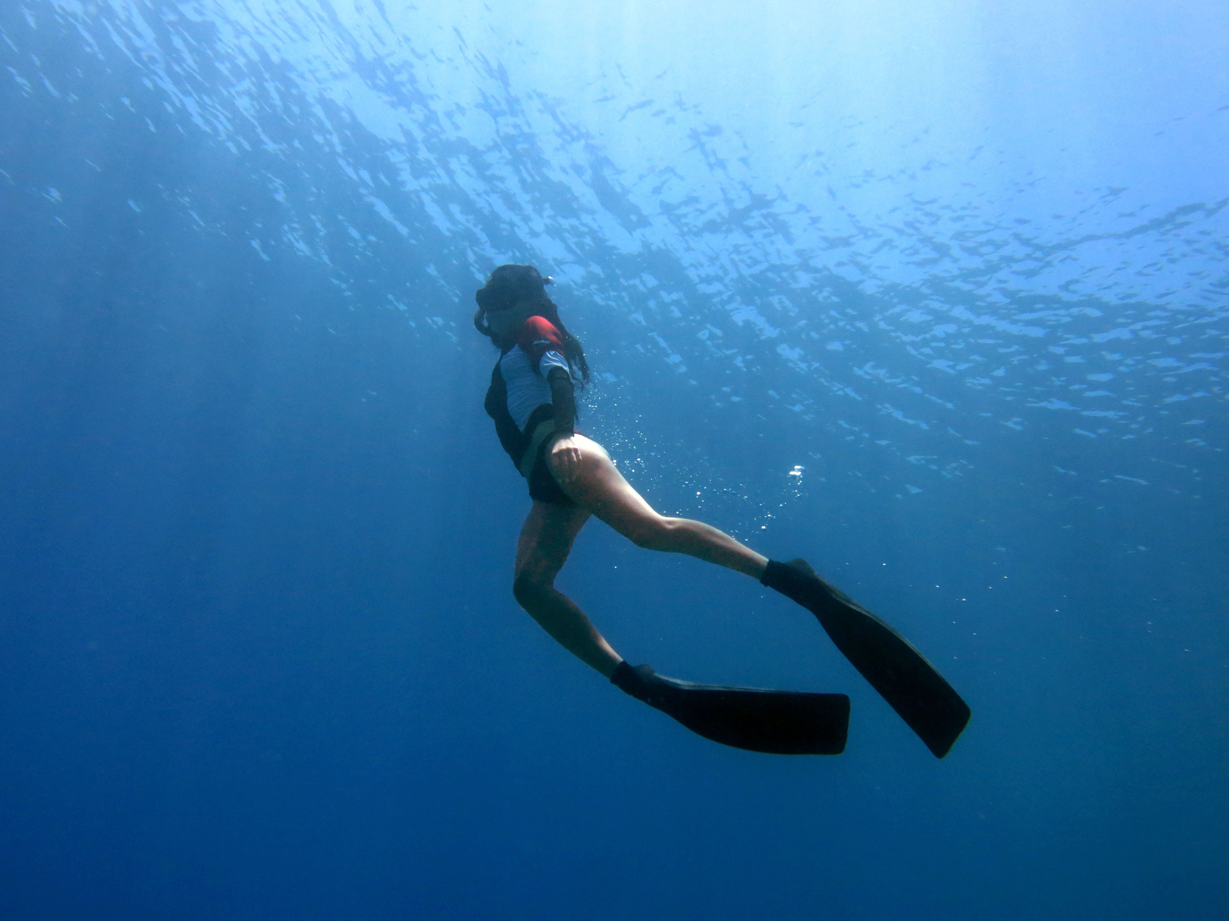 Banyak Yang Keliru, Ini Perbedaan Scuba Diving Dan Freediving Yang Wajib Diketahui Sebelum Menyelam