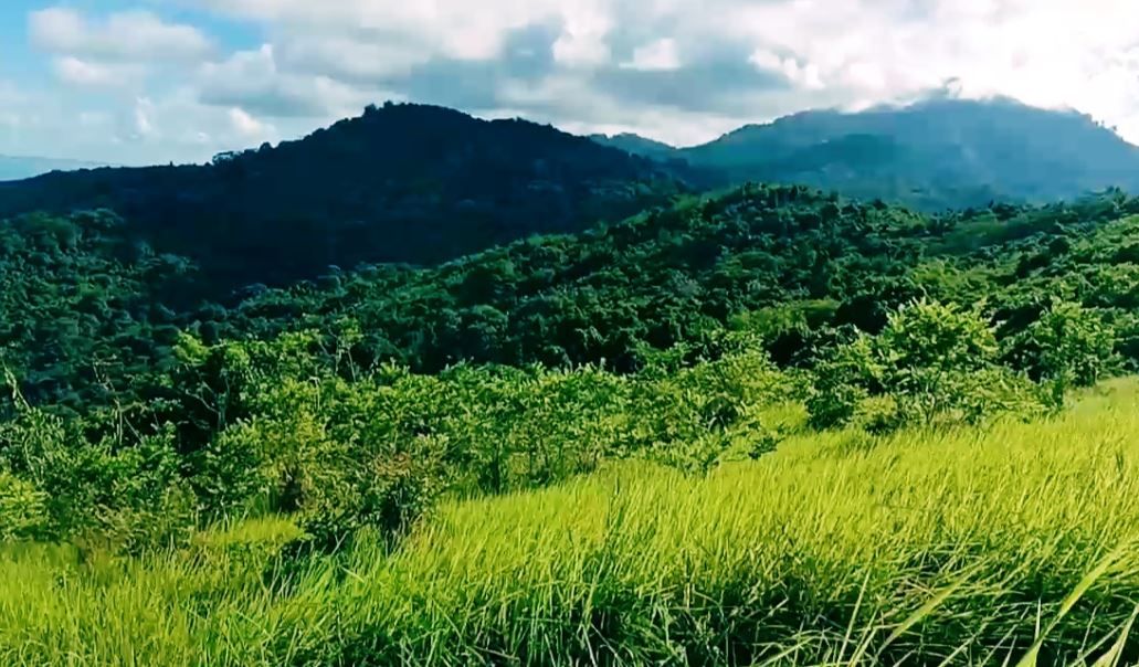 Pesona Bukit Mamake Kotabaru: Surga Paralayang dan Gardu Pandang Tertinggi di Pulau Laut