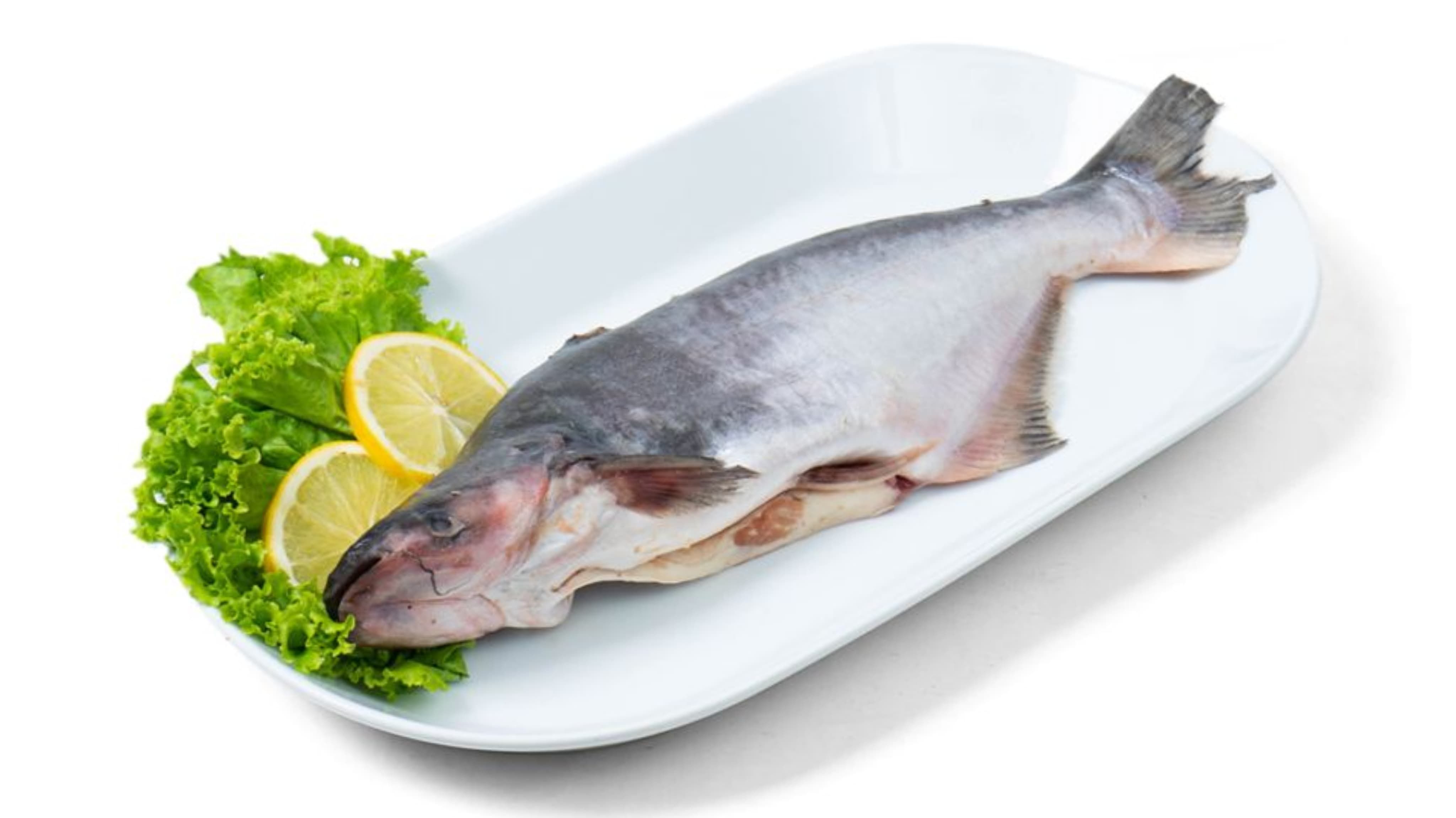 7 Manfaat Ikan Patin untuk Kesehatan Tubuh, Lezat, dan Bergizi