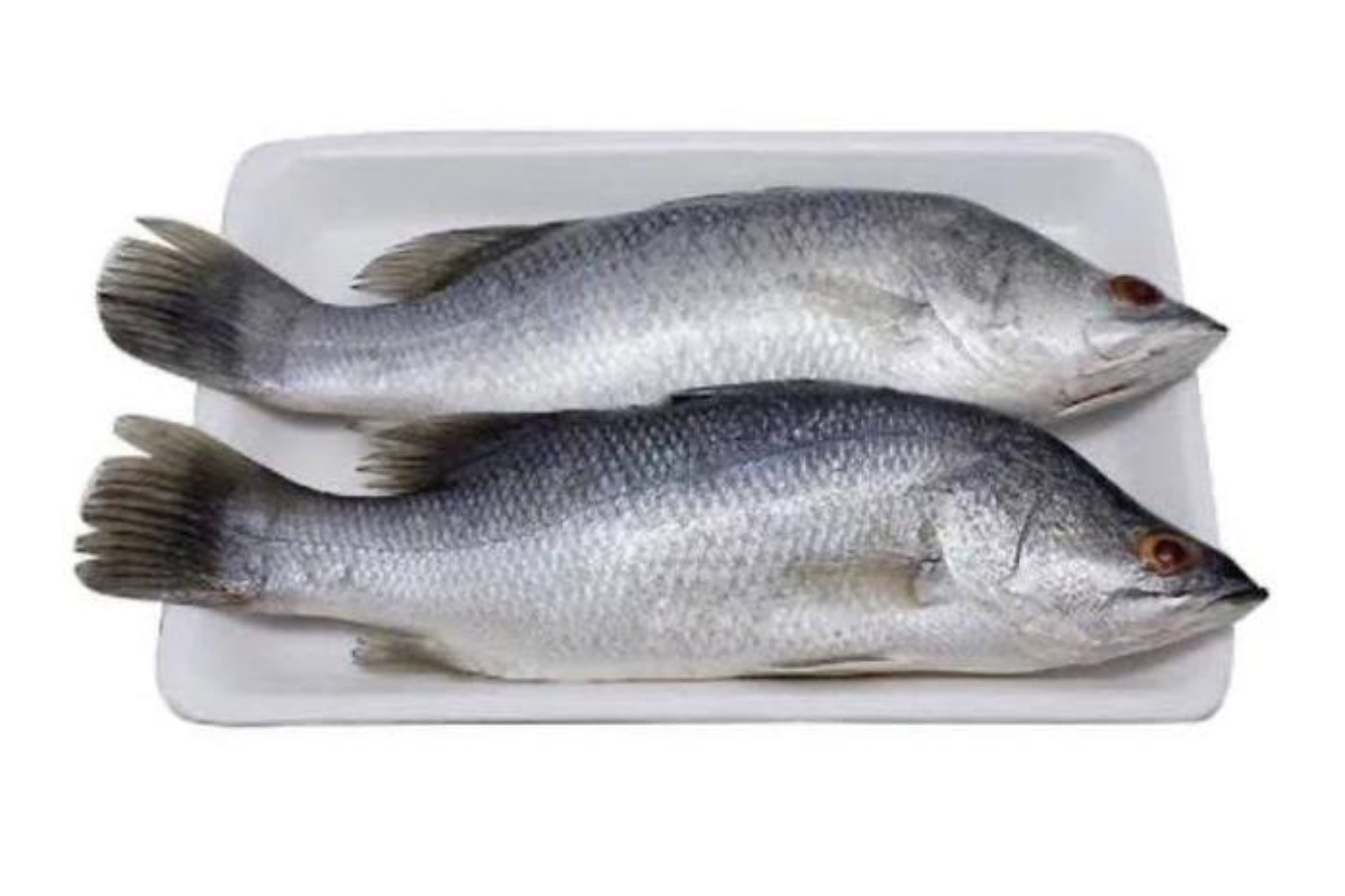 7 Manfaat Ikan Kakap untuk Kesehatan Tubuh yang Jarang Diketahui