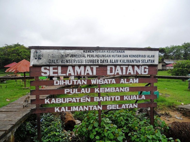 Pesona Pulau Kembang Banjarmasin: Delta Magis, Legenda Kapal Inggris, dan Kerajaan Monyet