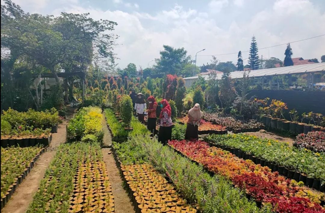 Desa Wisata Sidomulyo, Kampung Bunga yang Menghidupi Kota Batu Lewat Keindahan