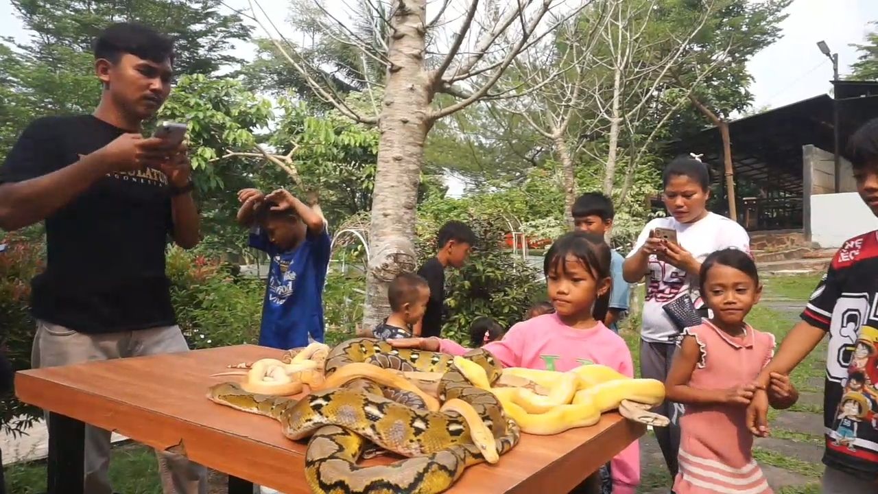 Komunitas Hewan di Banten Gelar Edukasi Reptil dan Satwa Hias Kepada Anak Saat Moment Libur Sekolah