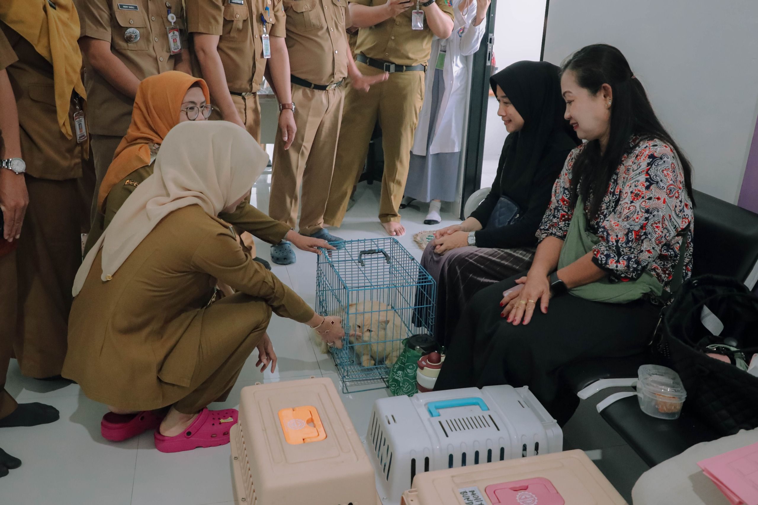 Rumah Sakit Hewan Lampung Segera Beroperasi, Siapkan Layanan Operasi hingga USG