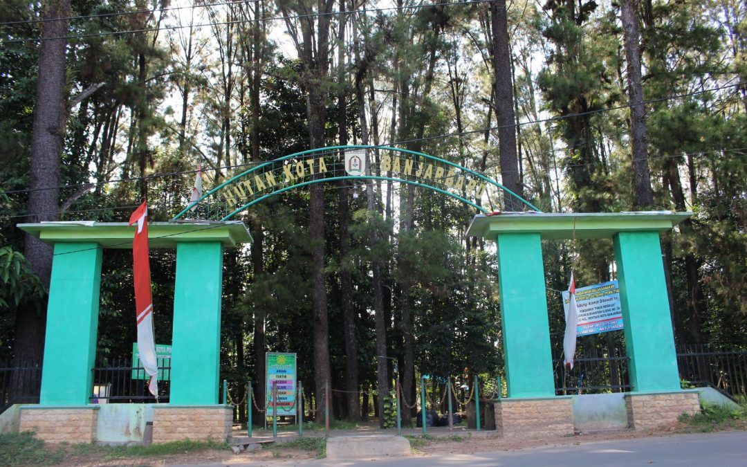 Hutan Pinus Mentaos Banjarbaru: Pesona Wisata Alam & Oase Hijau Terpopuler di Kalimantan Selatan