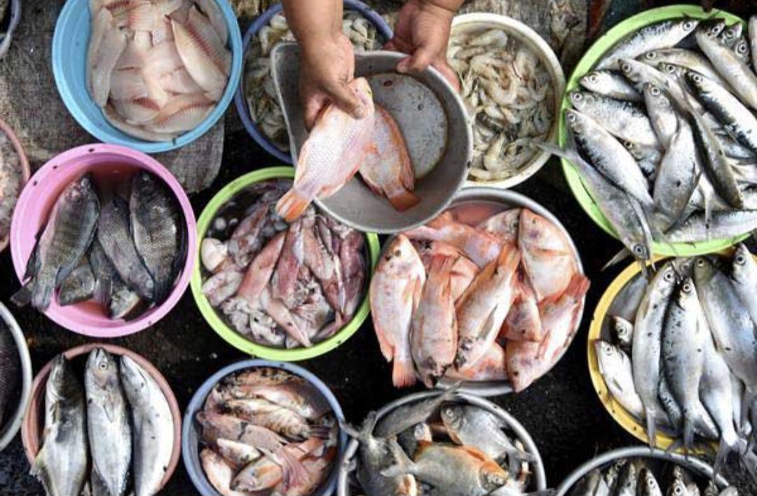 Bukan Cuma Soal Selera, Ahli UGM Ungkap Tantangan Logistik di Balik Rendahnya Konsumsi Ikan di Jawa