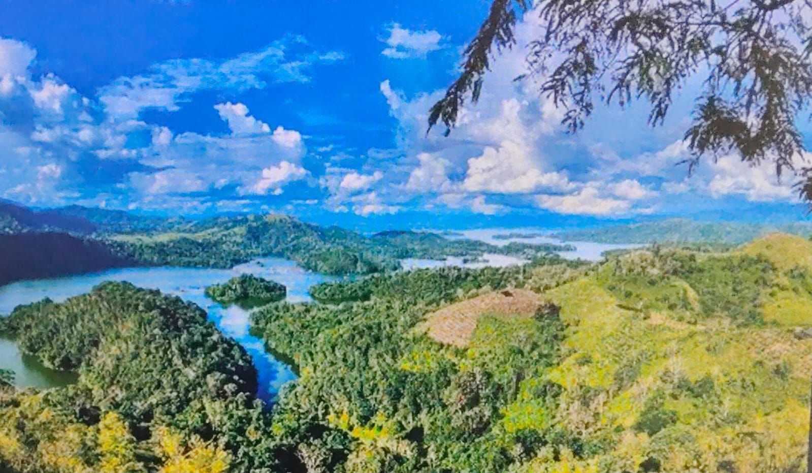 Bukit Matang Kaladan: Pesona Raja Ampat Kalimantan Selatan di Aranio