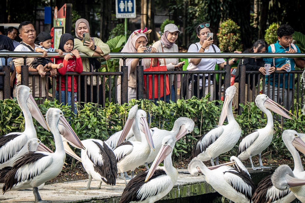 Ragunan Cetak Rekor di Puncak HUT Jakarta, Dikunjungi 135.500 Pengunjung dalam Sehari!