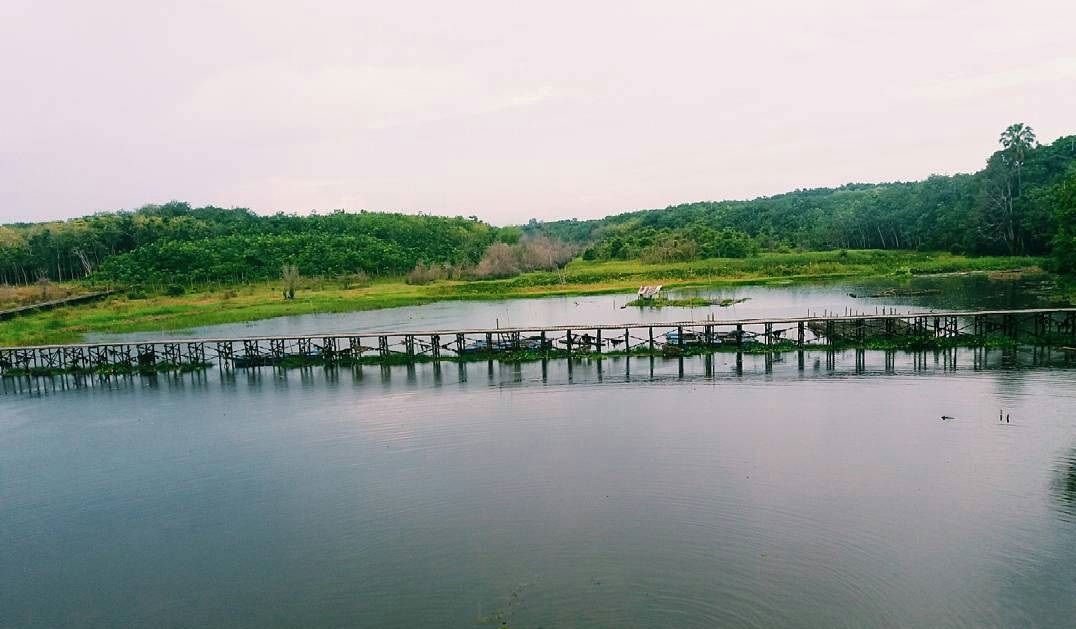 Pesona Danau Baruh Bahinu: Destinasi Wisata Rawa Ikonik di Balangan